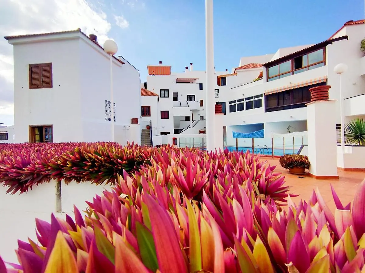 Apartment Colina II Con Piscina, En Los Cristianos, Tenerife Sur